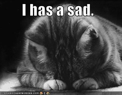 Sad Lol cat